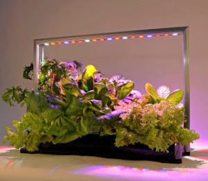 Parus LED mini garden system